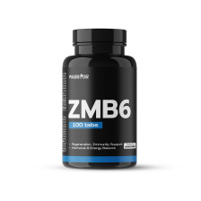 ZMB6 100 Tabletten - Warrior